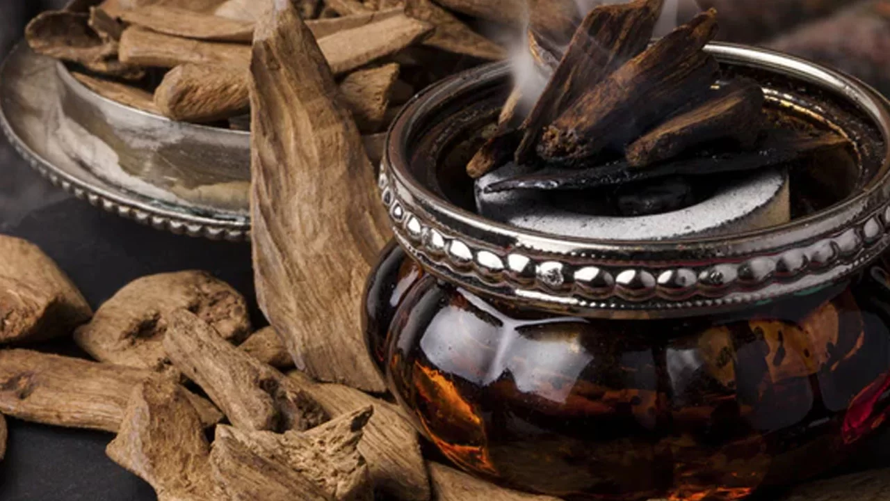 Oud Nedir ve Neden Bu Kadar Pahalıdır?