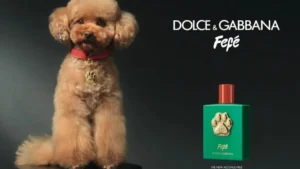 Köpekler için Parfüm: Lüks mü, Gerekli mi, Zararlı mı?
