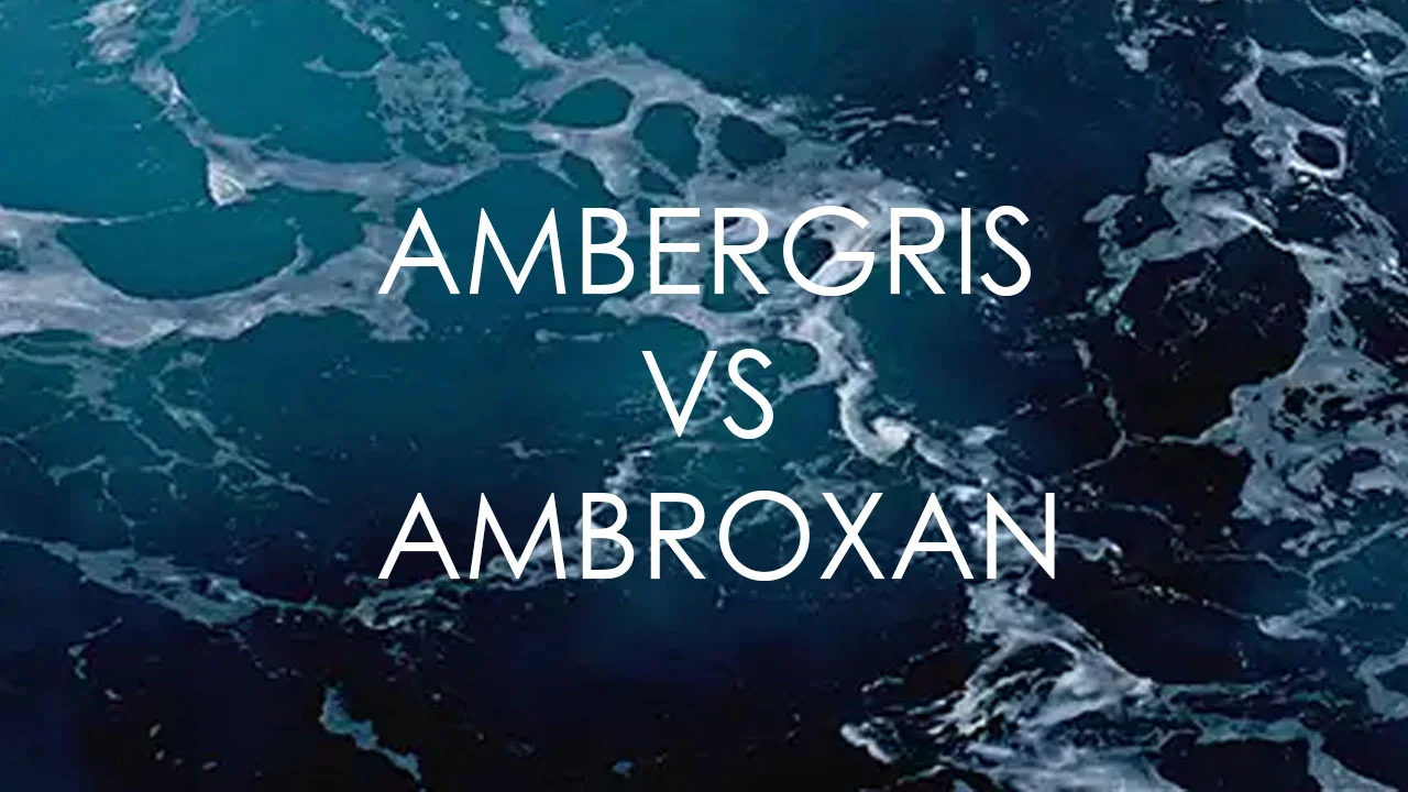 Ambergris ile Ambroxan Arasındaki Farklar
